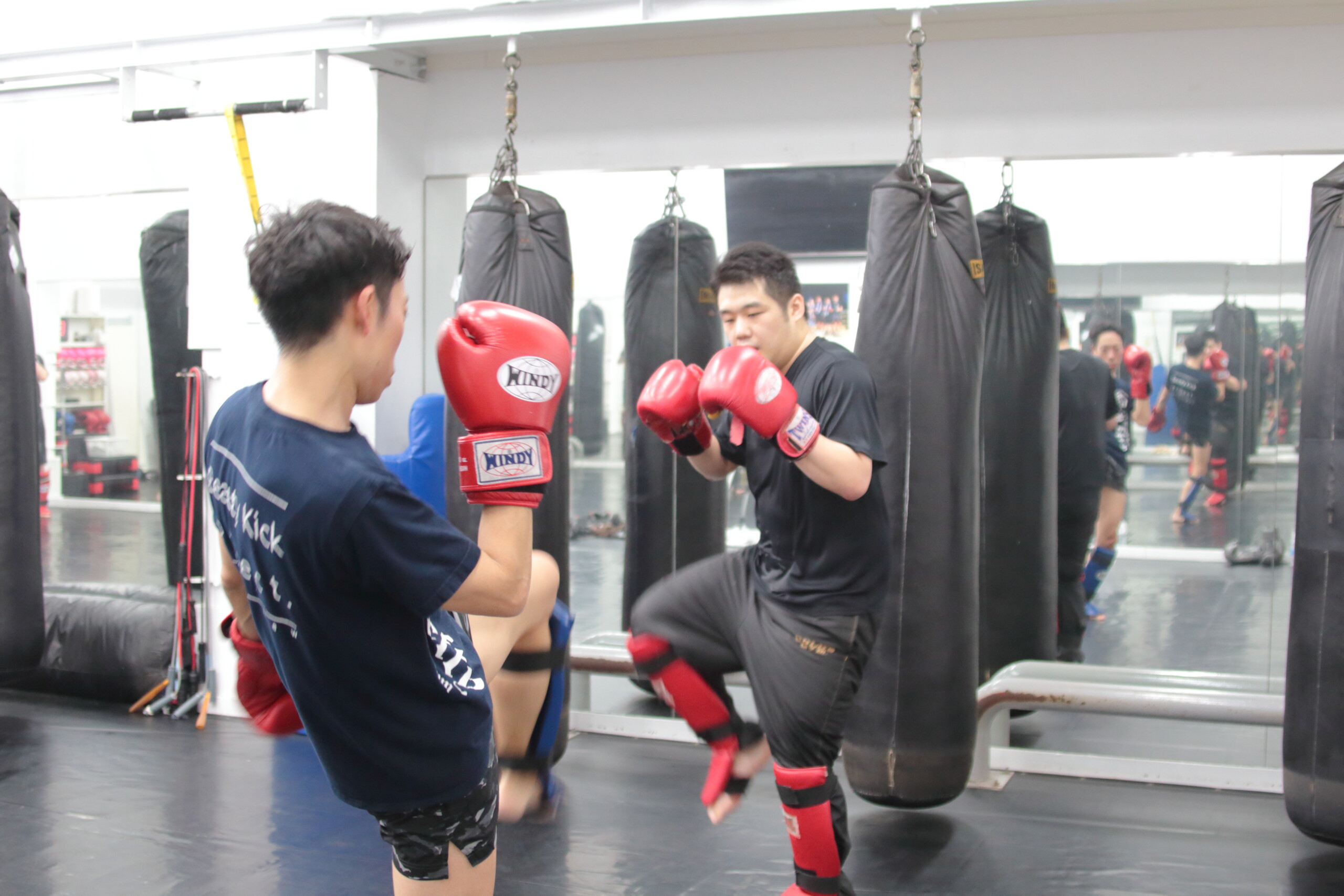 LEFTY GYM LEFTY GYM