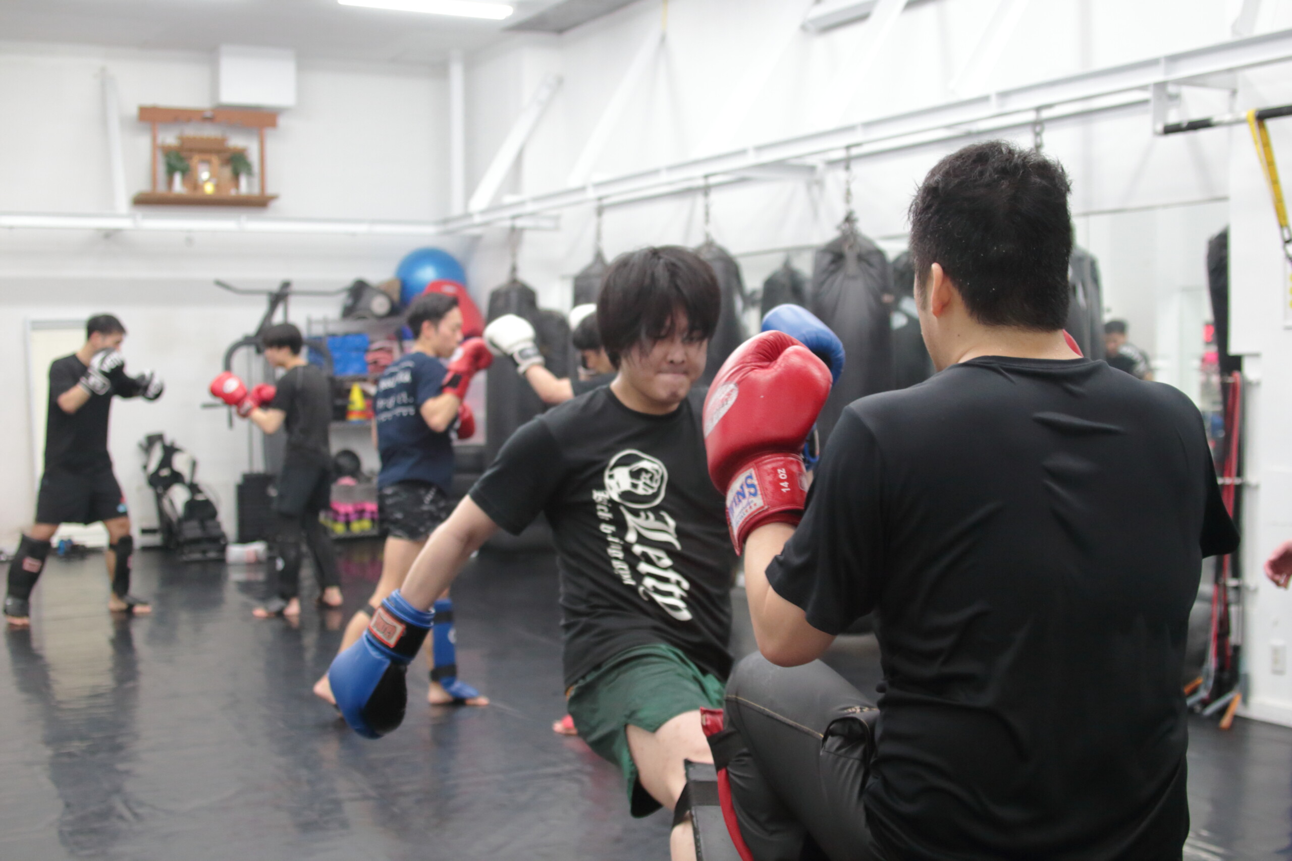 LEFTY GYM LEFTY GYM